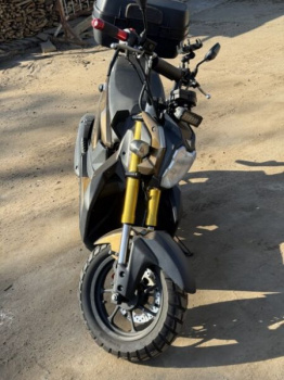 Vento Naked, 2022 г.