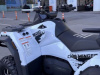 Sharmax Force Challenger 800, 2025 г.