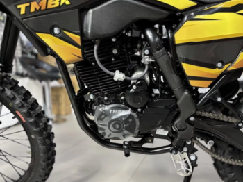 TMBK ENVY 300 PRO, 2026 г.