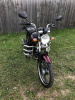 Racer Alpha RC50, 2026 г.