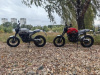 ROCKOT SCRAMBLER, 2026 г.