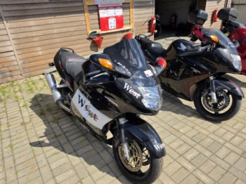Honda CBR, 1999 г.