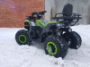 Nitro 200 TaoTao Warrior 200cc, 2023 г.