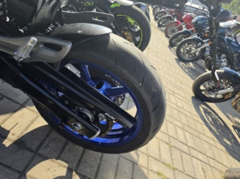 Suzuki SFV, 2010 г.