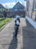 Beta RR 400rr, 2010 г.
