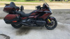 Honda Gold Wing, 2023 г.