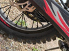 Nine Fox Strider 450, 2025 г.