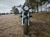 Motoland Wolf 300, 2026 г.