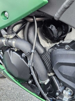Kawasaki ZX, 2020 г.