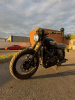 Triumph Bonneville 790, 2005 г.