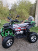 ATV Storm 200 Wild Track Lux 163QML, 2026 г.