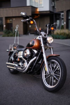Harley-Davidson Dyna Low Rider, 2008 г.