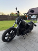Harley-Davidson Softail, 2022 г.