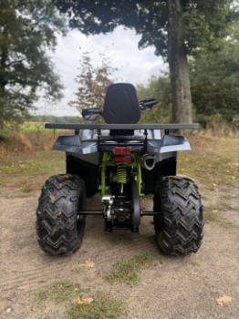 Motoland 200 Wild Track, 2026 г.