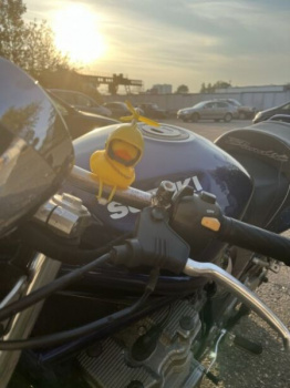Suzuki Bandit GSF 600, 2003 г.