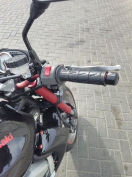 Kawasaki Z, 2007 г.