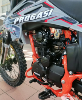 Progasi Palma 250 SE, 2024 г.
