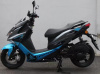 Racer RC 150T-15F Force, 2024 г.