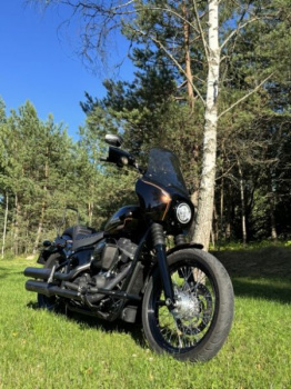 Harley-Davidson Softail Street Bob FXBB, 2019 г.