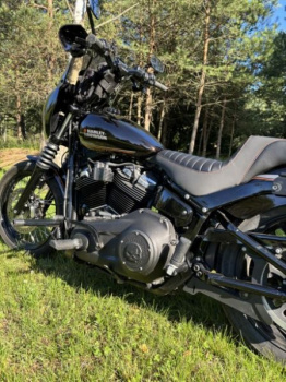 Harley-Davidson Softail Street Bob FXBB, 2019 г.