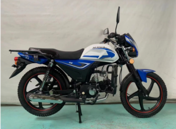 Motoland Alpha RS 11, 2024 г.