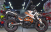 ROCKOT HOUND 250 2.0, 2026 г.