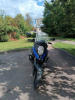 Suzuki V-Strom, 2019 г.
