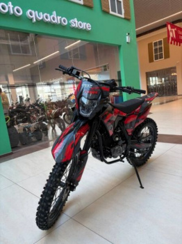 TMBK ENVY 300 PRO, 2026 г.