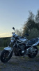 Suzuki Bandit, 2004 г.