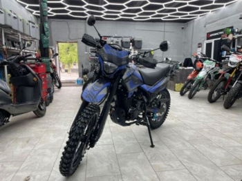 Racer Panther PRO 19 (RC300B-F), 2026 г.