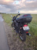 Классик Shineray XY 200, 2025 г.