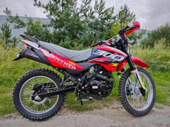 Racer RC 300-GY8X, 2026 г.
