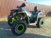 Motoland Wild Track Lux 200, 2026 г.