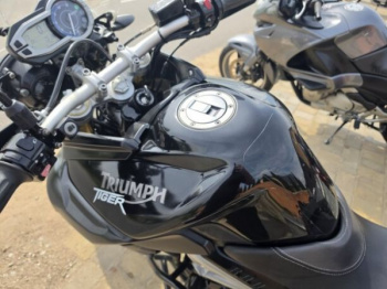Triumph Tiger, 2010 г.