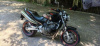Honda CB 600 Hornet, 2004 г.