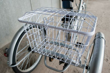 Эксклюзив Редкая модель Trike, 2023 г.