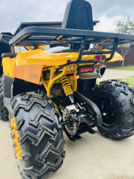 Motoland Wild Track LUX 200, 2026 г.