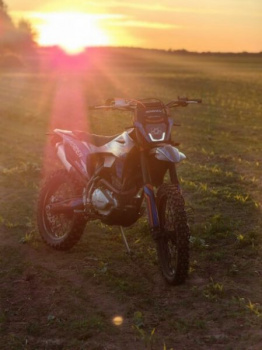 Regulmoto Norden, 2024 г.