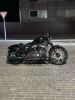 Harley-Davidson Sportster, 2019 г.