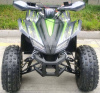 Racer RC RC125 Raptor, 2024 г.