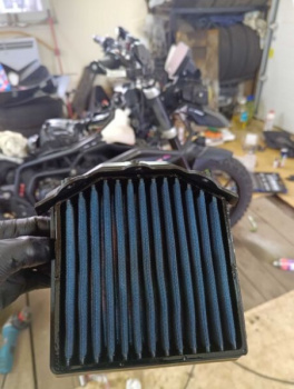 Triumph Tiger 900 GT PRO, 2021 г.