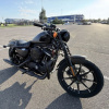 Harley-Davidson Sportster 883 iron, 2022 г.