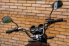  Racer RC 50 ALPHA LUX M2 , 2026 г.