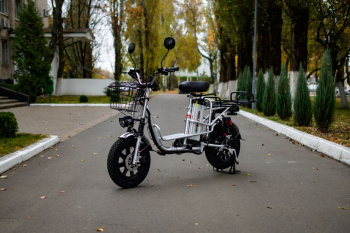  AVM E-ALFA Fat, 2026 г.