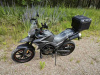 ROCKOT HOUND 250 2.0, 2026 г.