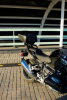 BMW R R1250R, 2023 г.