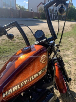 Harley-Davidson Sportster, 2013 г.
