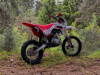 Racer CRF 125, 2026 г.