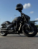 Suzuki Boulevard M50, 2018 г.