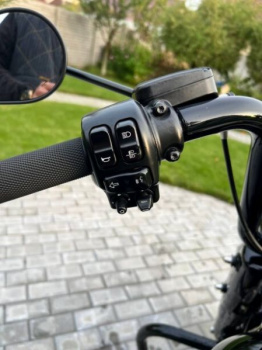 Harley-Davidson Road King 114, 2020 г.